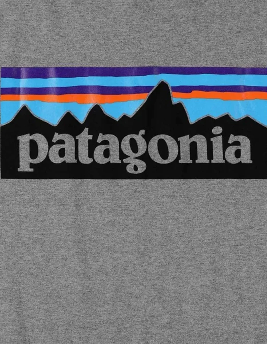 Camiseta PATAGONIA P-6 LOGO RESPONSIBILI - Gravel Heather - Imagen 6