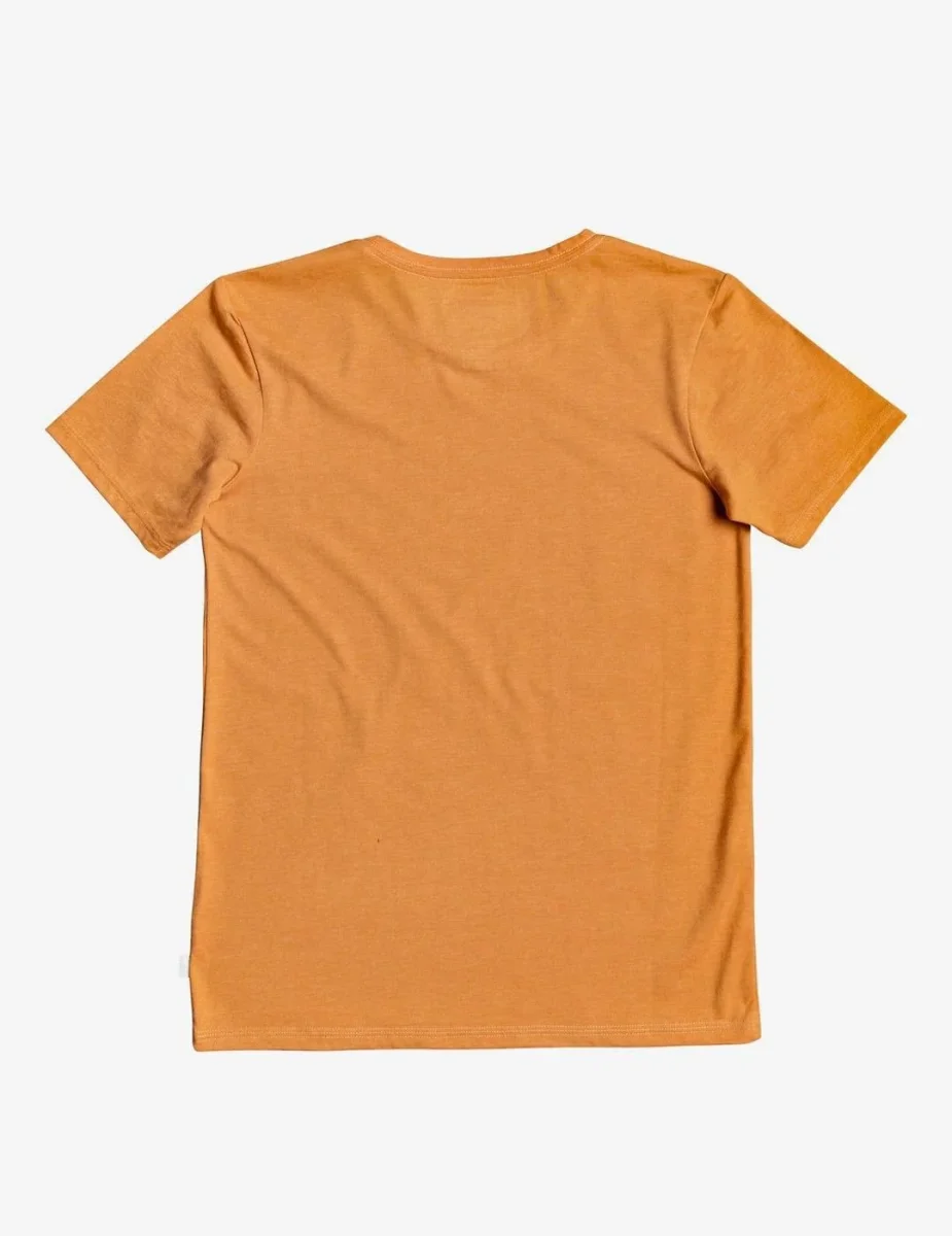 Camiseta Quiksilver (JUNIOR) MOTOR EMPTI - Apricot - Imagen 3
