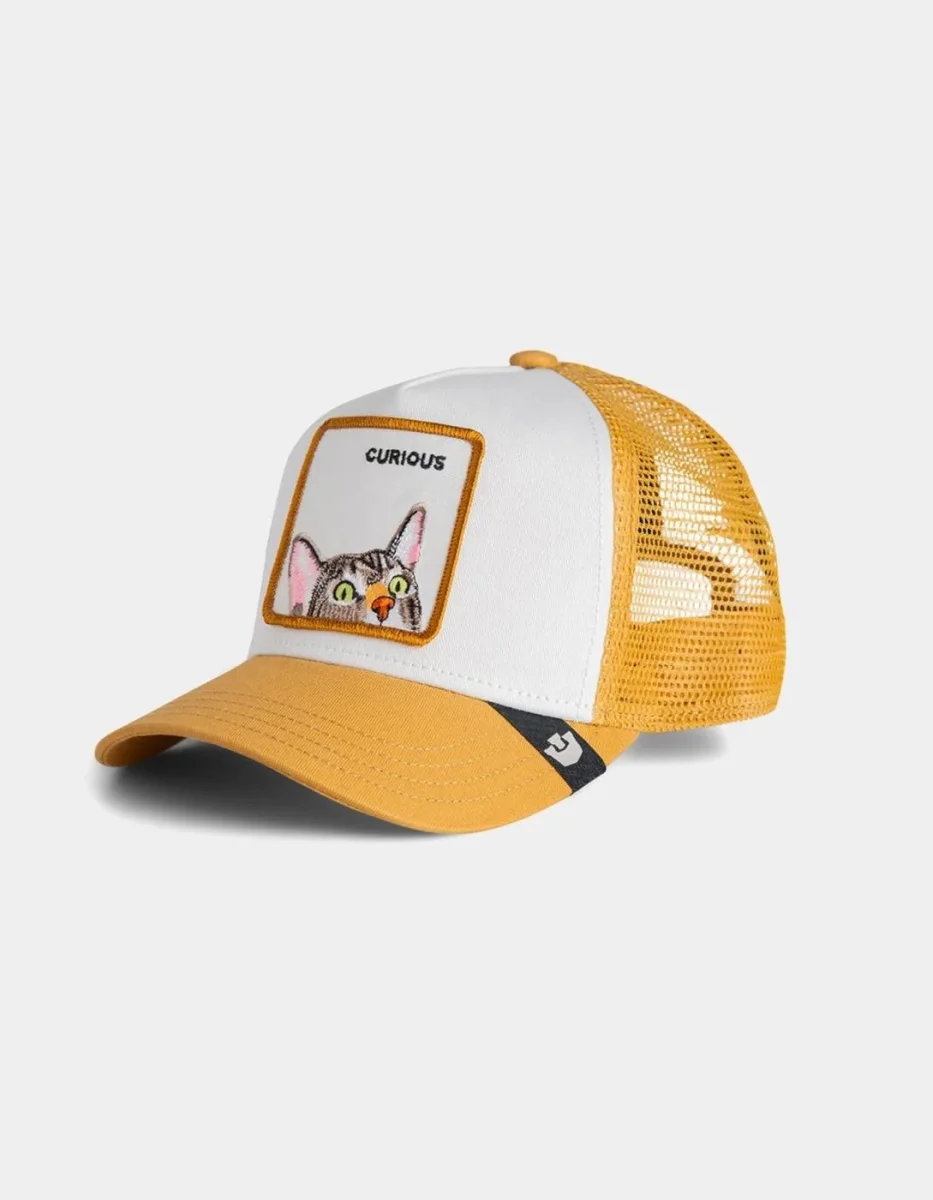 Gorra GOORIN BROS CURIOUS CAT MINI - Amber - Imagen 2