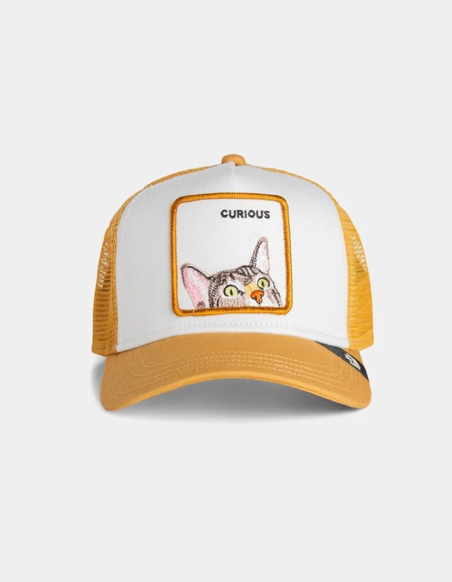 Gorra GOORIN BROS CURIOUS CAT MINI - Amber - Imagen 3