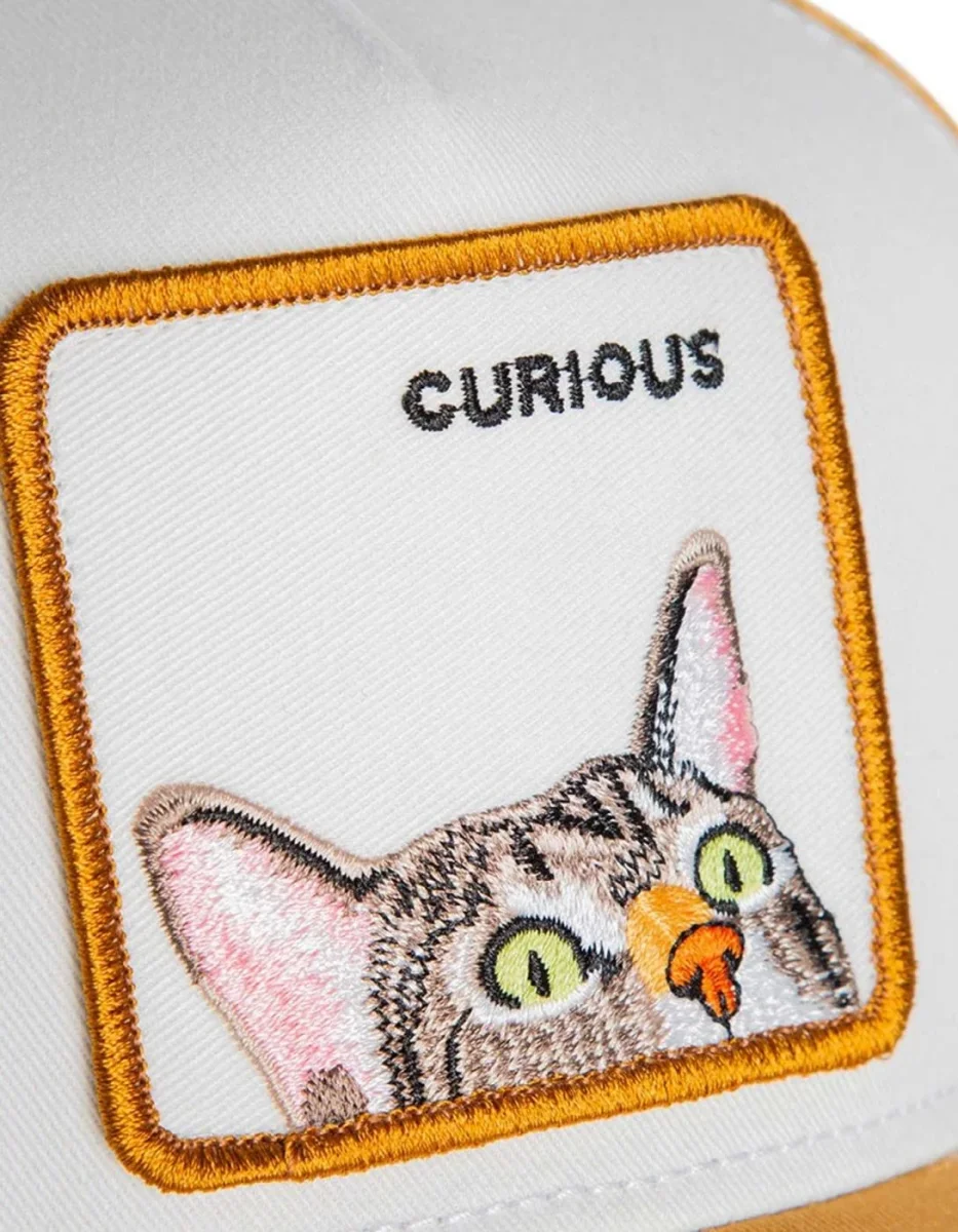 Gorra GOORIN BROS CURIOUS CAT MINI - Amber - Imagen 6