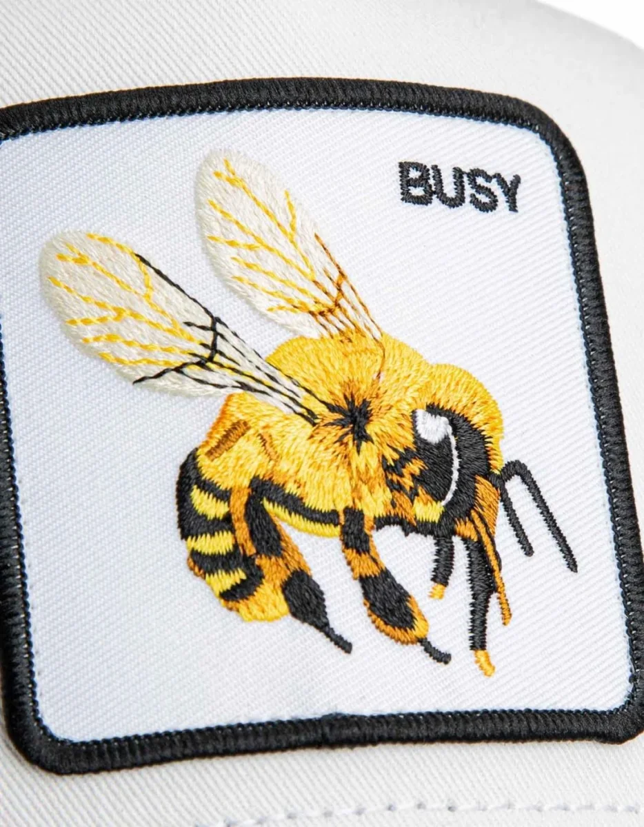 Gorra GOORIN BROS THE BUSY BEE - Dust/Void - Imagen 5