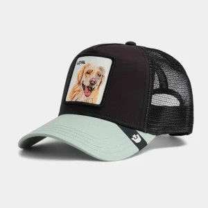 Gorra GOORIN BROS THE LOYAL DOG - Void/Shade