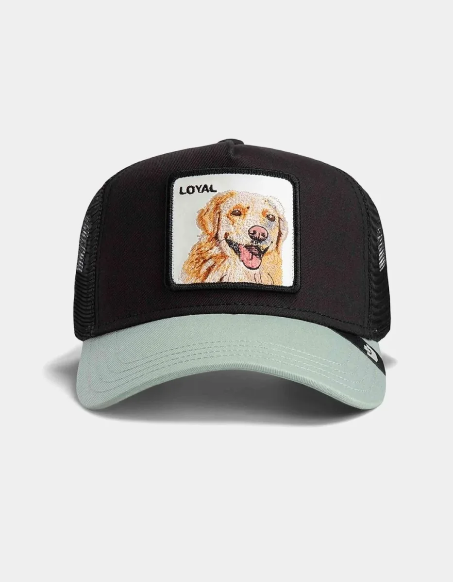 Gorra GOORIN BROS THE LOYAL DOG - Void/Shade - Imagen 3