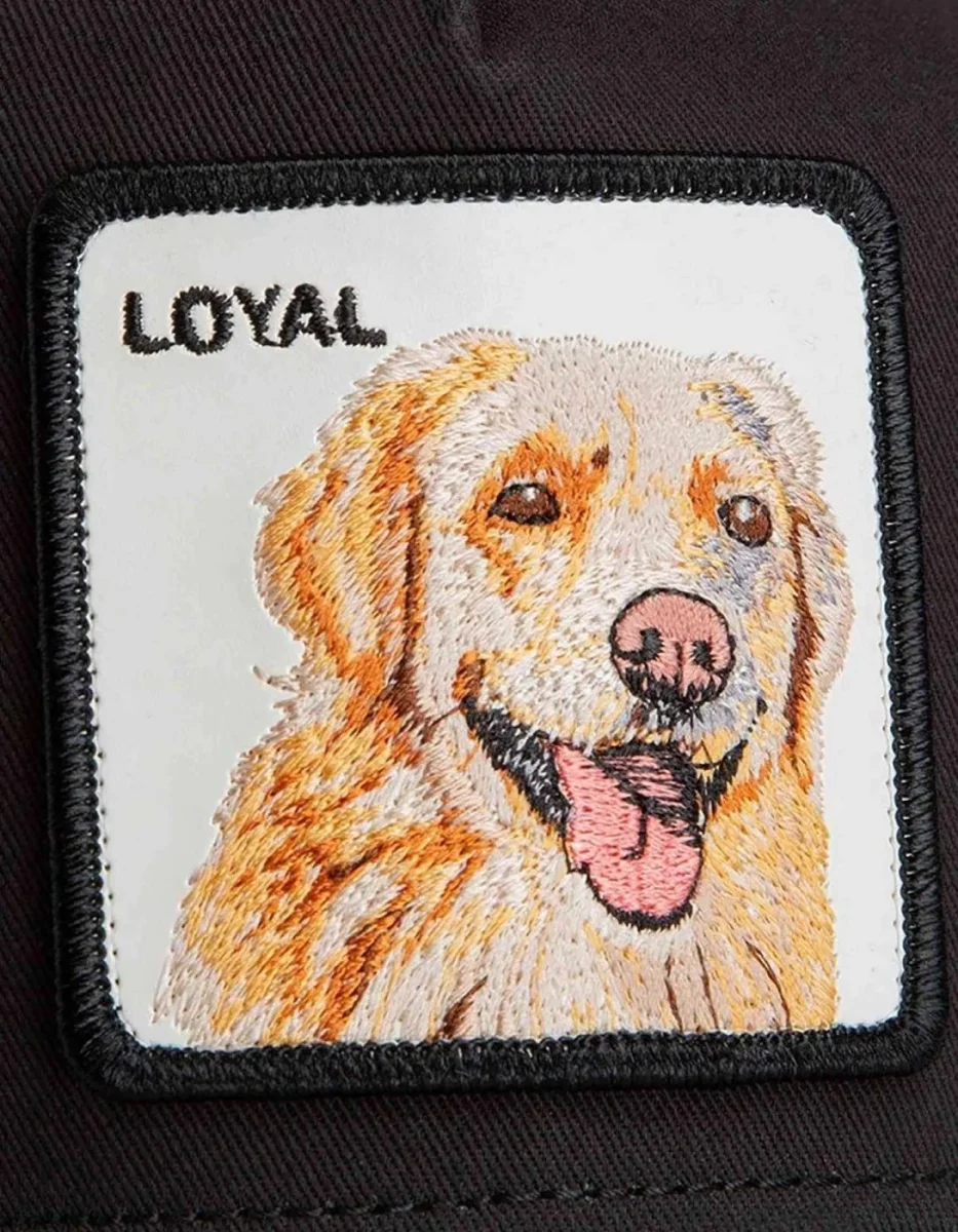 Gorra GOORIN BROS THE LOYAL DOG - Void/Shade - Imagen 5