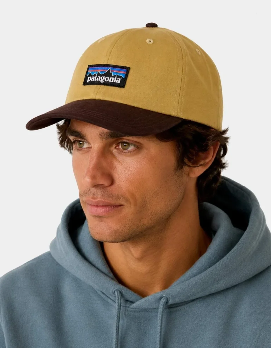 Gorra PATAGONIA P-6 LABEL TRAD - Lynx Tan - Imagen 3