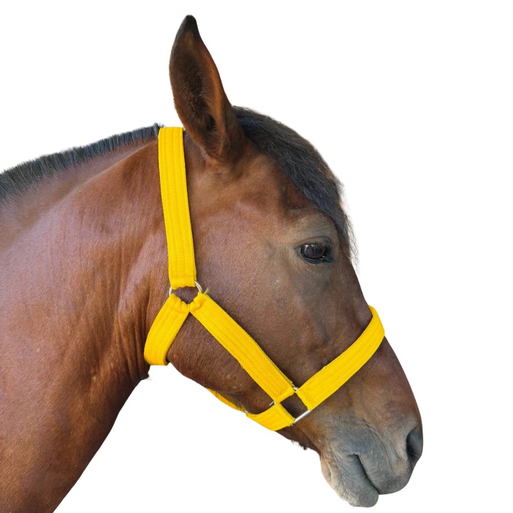 Jáquima de Nylon – Resistente, Ajustable y Cómoda para Manejo Diario del Caballo - Imagen 3