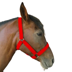 Jáquima de Nylon – Resistente, Ajustable y Cómoda para Manejo Diario del Caballo