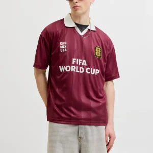 CAMISETA RELAXED POLO FIFA - Cabernet
