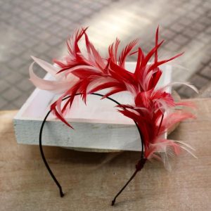 Diadema de plumas levantadas