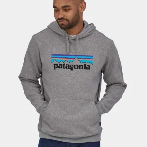 Sudadera Cap. PATAGONIA P-6 LOGO UPRISAL - Gravel Heather